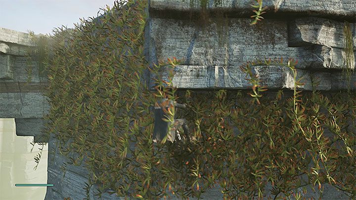 Doskocz do interaktywnej ściany z winoroślami, złap się jej i wdrap na górę - Rozdział 1 Bogano - solucja Jedi Upadły zakon / Fallen Order - Star Wars Jedi Fallen Order - poradnik do gry