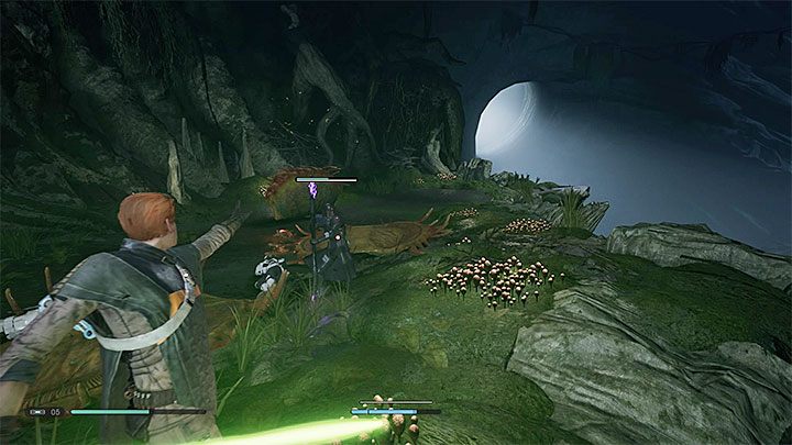 Podążaj główną ścieżkę przez grotę, która doprowadzi cię do liny - Rozdział 4 Powrót na Kashyyyk - solucja Jedi Upadły zakon / Fallen Order - Star Wars Jedi Fallen Order - poradnik do gry