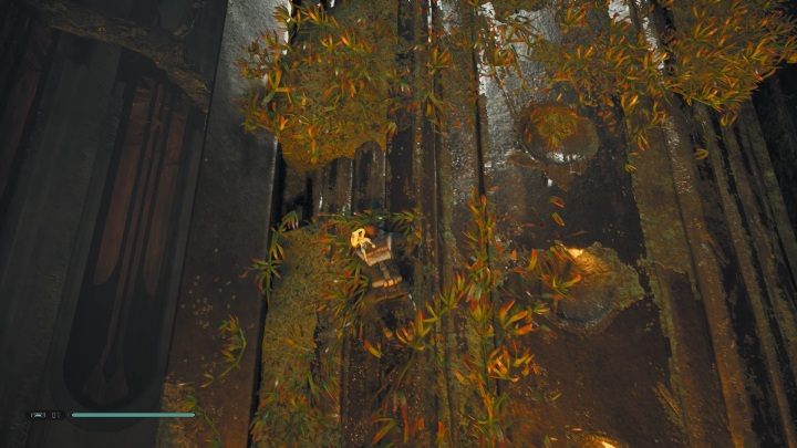 Gdy zeskoczysz z liany złap się roślin na ścianie - Tomb of Miktrull | Grobowce w Jedi Upadły zakon / Fallen Order - Star Wars Jedi Fallen Order - poradnik do gry