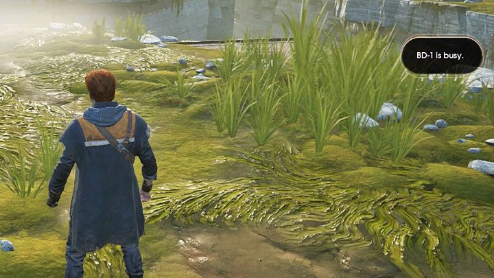 To drobny problem, który możesz napotkać w trakcie rozgrywania początkowej części pierwszego rozdziału na planecie Bogano - Star Wars Jedi Fallen Order - poradnik do gry