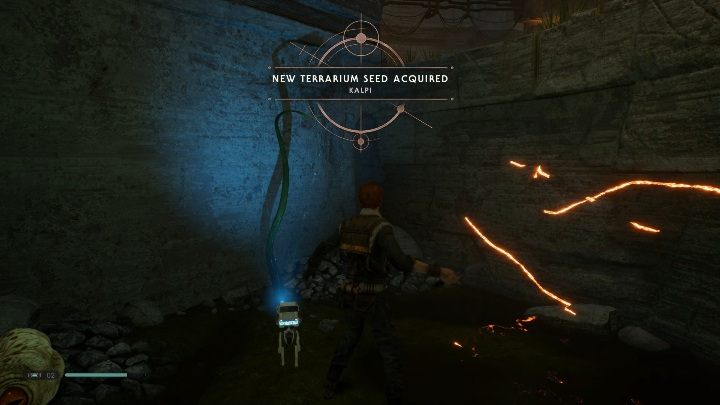 Rośliny - w świecie gry znajdziesz 10 nasion, które później urosną w twoim terrarium - Eksploracja w Jedi Upadły Zakon / Fallen Order - Star Wars Jedi Fallen Order - poradnik do gry