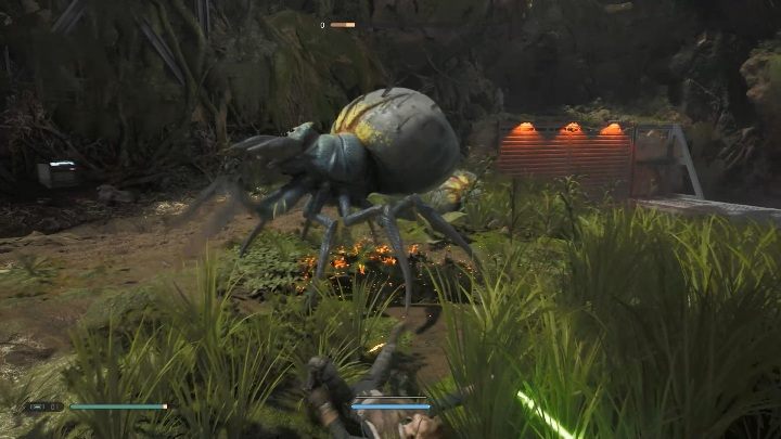 Dodatkowa informacja, to bardzo nieprzyjazna planeta dla ludzi z arachnofobią - Znajdźki w Kashyyk | Sekrety w Jedi Upadły zakon / Fallen Order - Star Wars Jedi Fallen Order - poradnik do gry