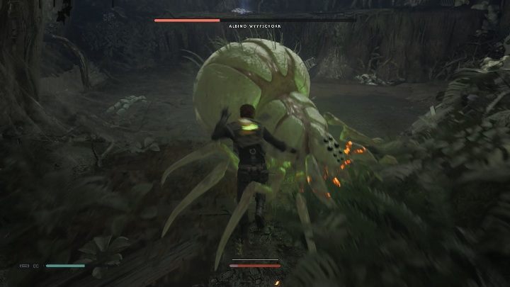 3 - Znajdźki w Kashyyk | Sekrety w Jedi Upadły zakon / Fallen Order - Star Wars Jedi Fallen Order - poradnik do gry