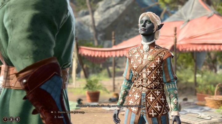 Gdy któryś z graczy opuści rozgrywkę, kontrolą nad jego postacią zostanie przekazana hostowi - Baldurs Gate 3: Co-op - Baldurs Gate 3 - poradnik do gry