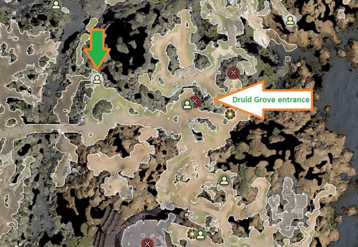 Zielona strzałka - lokalizacja Edowina. Pomarańczowa strzałka: wejście do Gaju Druidów. - Baldurs Gate 3: Czym są Moce Illithidów? - poradnik - Baldurs Gate 3 - poradnik do gry