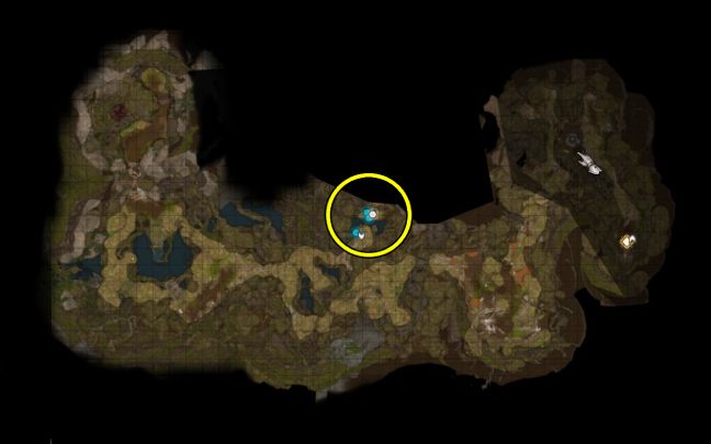 4 - Baldurs Gate 3: Podmrok (Underdark) w BG3 - opis przejścia - Baldurs Gate 3 - poradnik do gry