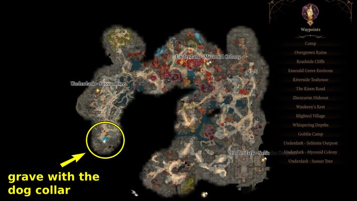 Na 3 piętrze znajdziecie skrzynię z pierścieniem Przyjaciel Maga (Mages Friend) oraz sporo książek i zwojów - Baldurs Gate 3: Podmrok (Underdark) w BG3 - opis przejścia - Baldurs Gate 3 - poradnik do gry