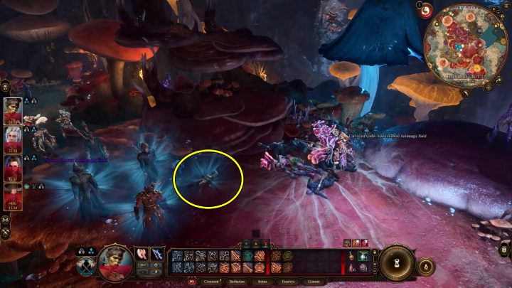 Gnomkę znajdziecie w kolonii Mykonidów, będzie leżała na wielkim grzybie - Baldurs Gate 3: Podmrok (Underdark) w BG3 - opis przejścia - Baldurs Gate 3 - poradnik do gry