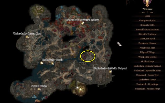 10 - Baldurs Gate 3: Podmrok (Underdark) w BG3 - opis przejścia - Baldurs Gate 3 - poradnik do gry