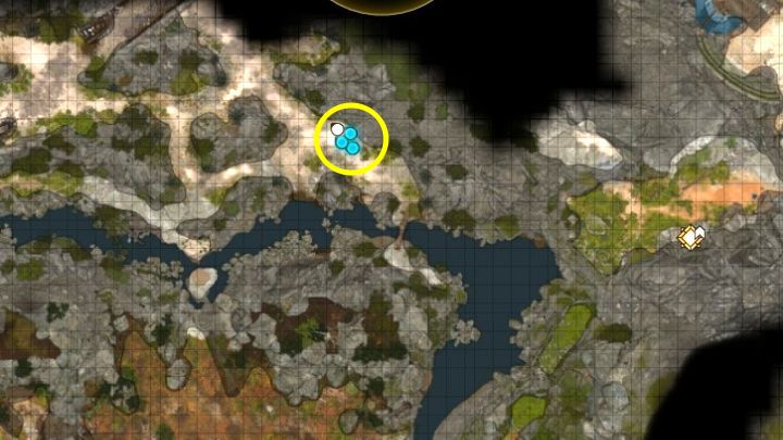 4 - Baldurs Gate 3: Zagadka piwnicy budynku paladynów (Toll House) - Baldurs Gate 3 - poradnik do gry