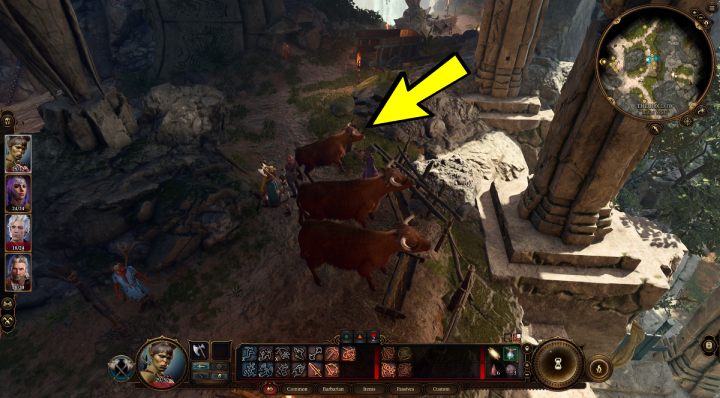 Aby odpowiednio przeprowadzić rozmowę z dziwnym wołem należy - Baldurs Gate 3: Kim jest dziwny wół (Strange Ox) w BG3 - Baldurs Gate 3 - poradnik do gry