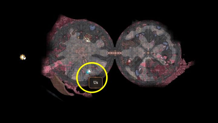 2 - Baldurs Gate 3: Zagadka Myrnatha i gadającego mózgu na Nautiloidzie - Baldurs Gate 3 - poradnik do gry