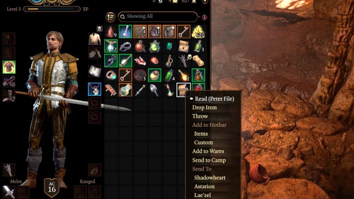 6 - Baldurs Gate 3: Zagadka skrzyni Selune obok legowiska sowodźwiedzia - Baldurs Gate 3 - poradnik do gry