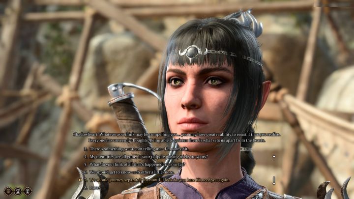 2 - Baldurs Gate 3: Obóz drużyny w BG3 - Baldurs Gate 3 - poradnik do gry