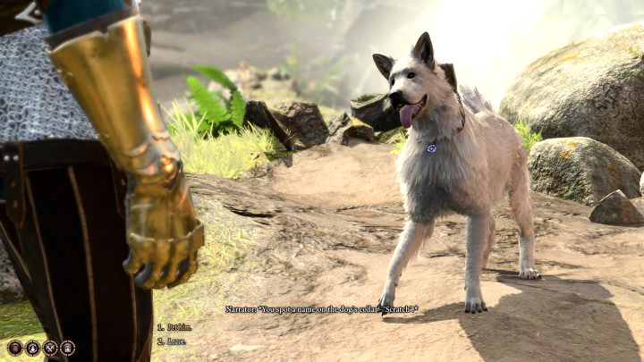 3 - Baldurs Gate 3: Obóz drużyny w BG3 - Baldurs Gate 3 - poradnik do gry