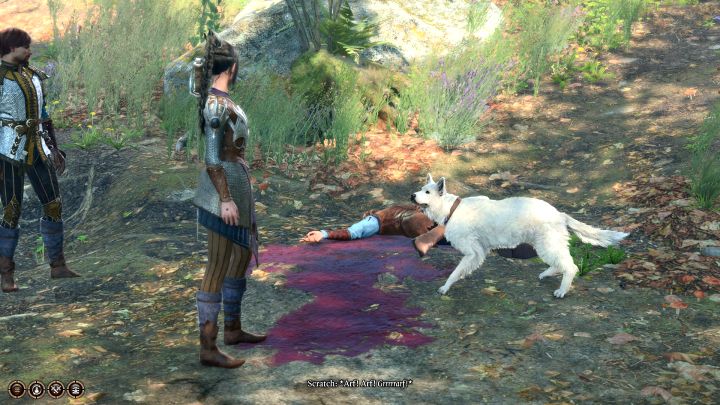 1 - Baldurs Gate 3: Jak adoptować psa Scratch w BG3? - Baldurs Gate 3 - poradnik do gry