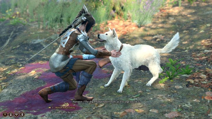 Waszym zadaniem jest oswojenie psa po to żeby dał się pogłaskać i mógł zostać przygarnięty przez głównego bohatera - Baldurs Gate 3: Jak adoptować psa Scratch w BG3? - Baldurs Gate 3 - poradnik do gry