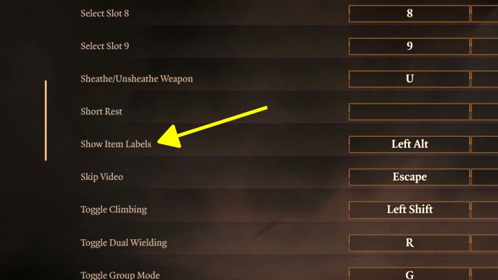 3 - Baldurs Gate 3: Jak podświetlić obiekty z otoczenia? - Baldurs Gate 3 - poradnik do gry