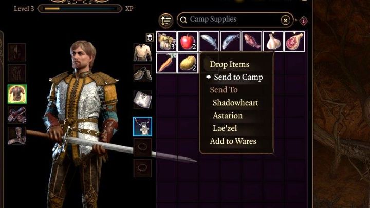 2 - Baldurs Gate 3: Czy jest limit udźwigu w BG3? - Baldurs Gate 3 - poradnik do gry