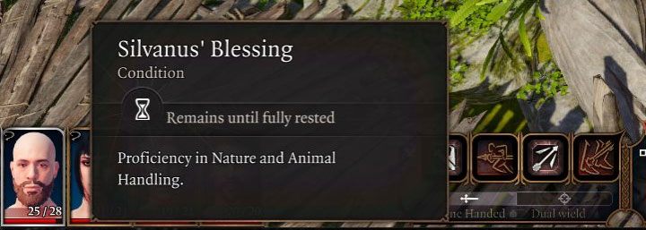 1 - Baldurs Gate 3: Jak odczytywać statusy postaci? - Baldurs Gate 3 - poradnik do gry