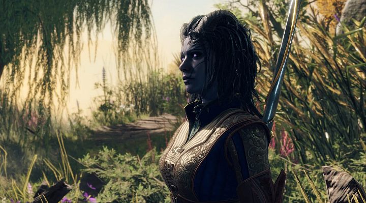 Świat gry BG3 przybliżyliśmy w rozdziale Uniwersum naszego poradnika - BG3: Czy trzeba grać w poprzednie części Baldurs Gate? - Baldurs Gate 3 - poradnik do gry