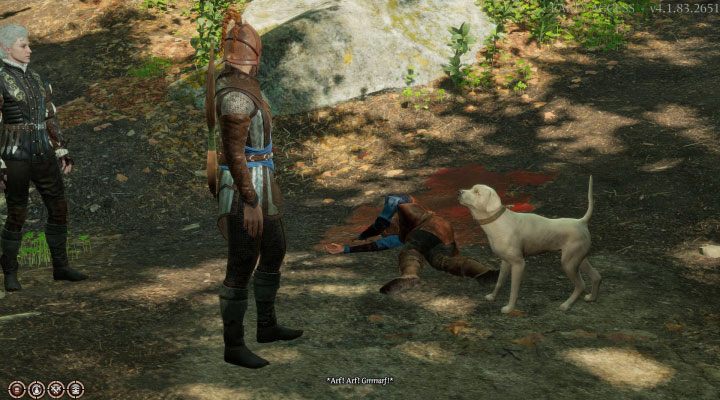 Pies Scratch - Baldurs Gate 3: Mapa Opuszczona wioska (Blighted Village) w BG3 - Baldurs Gate 3 - poradnik do gry