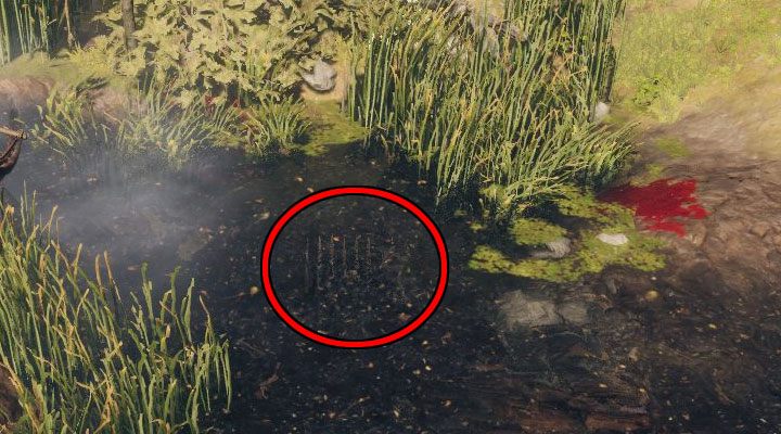 Pułapki z kolcami w wodzie - Baldurs Gate 3: Mapa Herbaciarnia (Teahouse) w BG3 - Baldurs Gate 3 - poradnik do gry