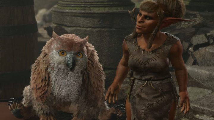 Mały sowodźwiedź (Owlbear) - Baldurs Gate 3: Mapa obóz goblinów w BG3 - Baldurs Gate 3 - poradnik do gry