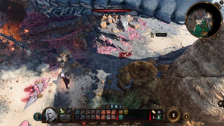 Po katastrofie Nautiloida przebudzicie się na plaży - choć uszliście z życiem z katastrofy statku, musicie teraz szukać lekarstwa na kijankę, która grozi wam przemianą w łupieżcę umysłu - Baldurs Gate 3: Usunięcie pasożyta - solucja, opis przejścia - Baldurs Gate 3 - poradnik do gry