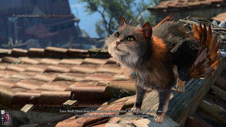 Przekonajcie ją, aby nie polowała na gołębie, a następnie weźcie zagubiony listy - będziecie mogli je przeczytać, wybór należy do was - Baldurs Gate 3: Znajdź zaginione listy - Baldurs Gate 3 - poradnik do gry