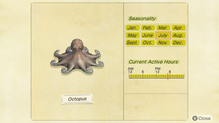 Ośmiornicę złapiecie przez cały rok. - ACNH: Morskie stworzenia - lista, ceny - Animal Crossing New Horizons - poradnik do gry