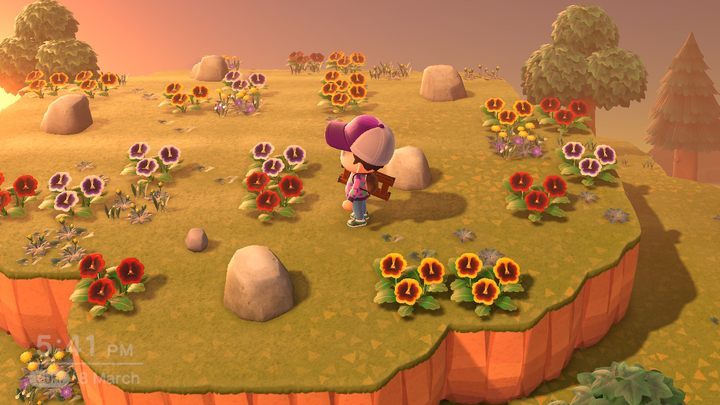 Wiele zależy od tego, na jaką trafisz wyspę - ACNH: Bezludne wyspy i inne podróże - Animal Crossing New Horizons - poradnik do gry