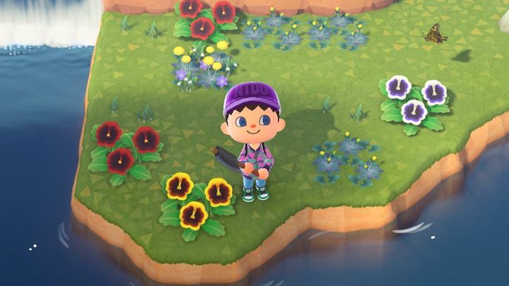 Jeśli zobaczysz sowę lub żółtego ptaszka siedzącego na tablicy ogłoszeń na głównym placu, to znaczy, że pojawiło się nowe ogłoszenie - Animal Crossing New Horizons - poradnik do gry