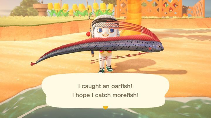 1 - ACNH: Przedmioty - których nie warto sprzedawać? - Animal Crossing New Horizons - poradnik do gry