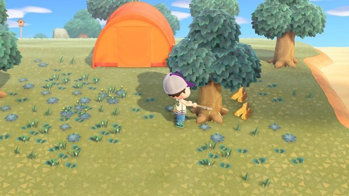 Z drzewa wypadają trzy typy drewna: wood, hardwood i softwood. - ACNH: Surowce - skąd je brać? - Animal Crossing New Horizons - poradnik do gry