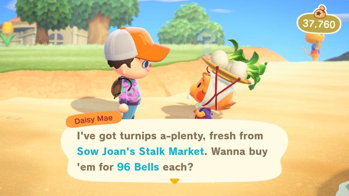 Tak wygląda sprzedawczyni rzepy. - ACNH: Rzepa/turnip - jak zarobić? - Animal Crossing New Horizons - poradnik do gry