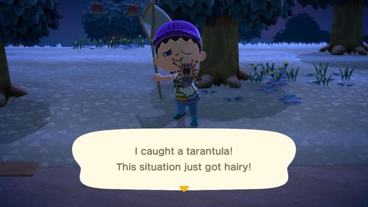Brrr... - ACNH: Pająk tarantula - jak go złapać? - Animal Crossing New Horizons - poradnik do gry