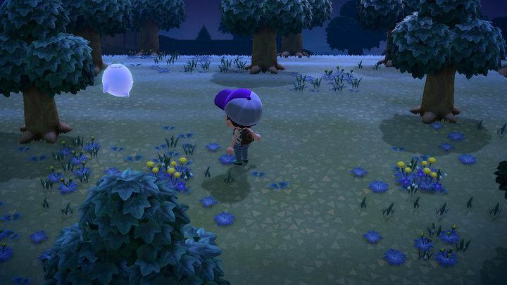 Oto Wisp. - ACNH: Wisp - nagrody, co robi, gdzie znaleźć? - Animal Crossing New Horizons - poradnik do gry