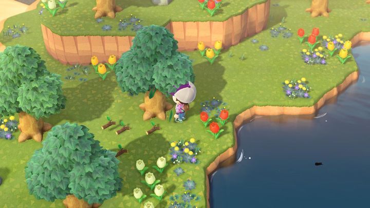 Czasem patrząc z góry widać więcej. - ACNH: Porady na start - Animal Crossing New Horizons - poradnik do gry