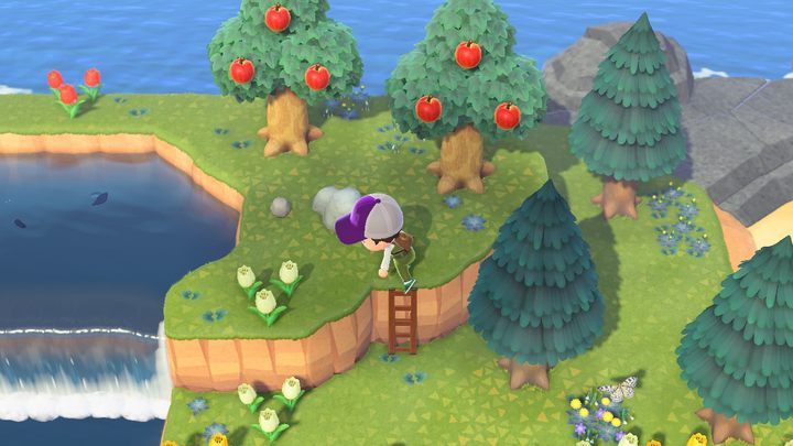 No i po problemie. - ACNH: Drabina - jak wejść na wyższą część wyspy? - Animal Crossing New Horizons - poradnik do gry