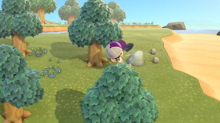 Kamienie na naszej wyspie warto obstukać codziennie. - ACNH: Zasoby - kiedy się odnawiają? - Animal Crossing New Horizons - poradnik do gry