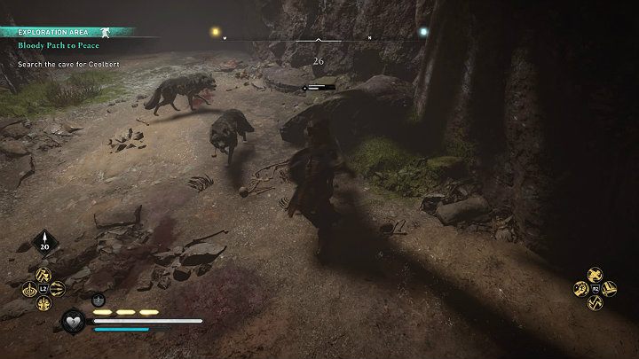 Nieco dalej natrafisz na kilka wilków i znajdziesz kolejną wskazówkę - krew i ślady, które wskazują na wilka, który wlókł coś po ziemi - Assassins Creed Valhalla: Krwawa droga do pokoju - solucja, opis przejścia - Assassins Creed Valhalla - poradnik do gry