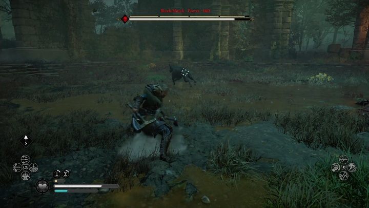 Zwierze warto trzymać na dystans - Assassins Creed Valhalla: Legendarne zwierzę - Wschodnia Anglia, sekrety - Assassins Creed Valhalla - poradnik do gry