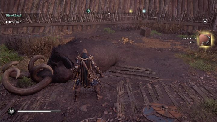 W Connacht spotkacie Legendarne zwierzę - AC Valhalla Gniew Druidów: Connacht - mapa - Assassins Creed Valhalla - poradnik do gry