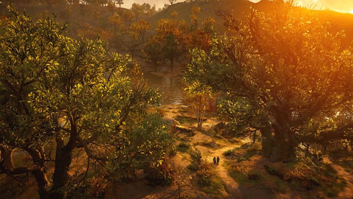 1 - Assassins Creed Valhalla: Ray Tracing - czy jest obsługiwany? - Assassins Creed Valhalla - poradnik do gry