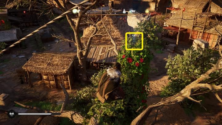 Zbierz kwiat, zeskocz na dół i porozmawiaj z Esobertem - Assassins Creed Valhalla: Romeo i Aetheflaeda/Romeo and Aetheflaed - solucja - Assassins Creed Valhalla - poradnik do gry