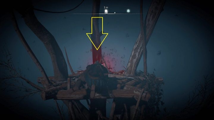 Lokalizacja totemu: aby dostać się do totemu musisz wejść wdrapać się na drewniany słup, a z niego wskoczyć na gniazdo - Assassins Creed Valhalla: Przeklęty symbol - Sciropescire, sekrety, lokacje - Assassins Creed Valhalla - poradnik do gry