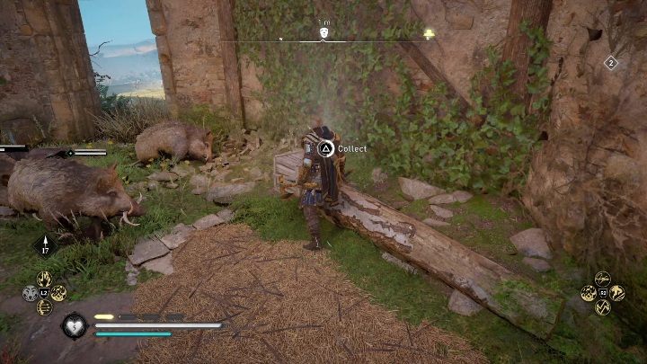 W tym miejscu natrafisz na ruiny, w których czają się przeciwnicy oraz dziki - Assassins Creed Valhalla: Rzymski artefakt - Hamtunscire, sekrety, lokacje - Assassins Creed Valhalla - poradnik do gry