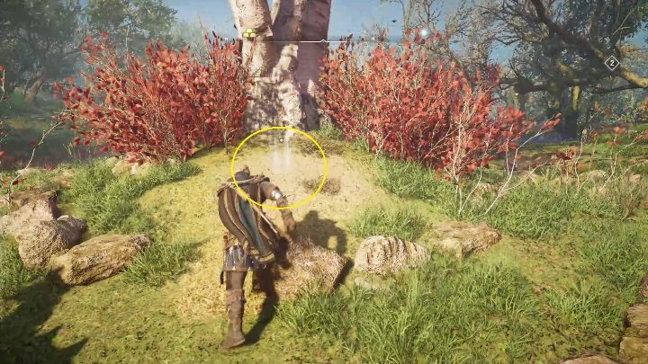 Skarb znajduje się zaraz pod dużym drzewem - Assassins Creed Valhalla: Mapa skarbów - Hamtunscire, sekrety, lokacje - Assassins Creed Valhalla - poradnik do gry
