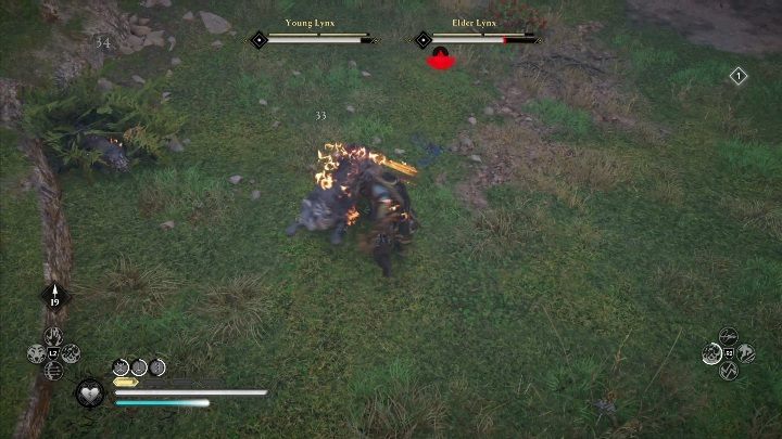 W tym regionie jest jedno legendarne zwierzę - Assassins Creed Valhalla: Hamtunscire - mapa - Assassins Creed Valhalla - poradnik do gry